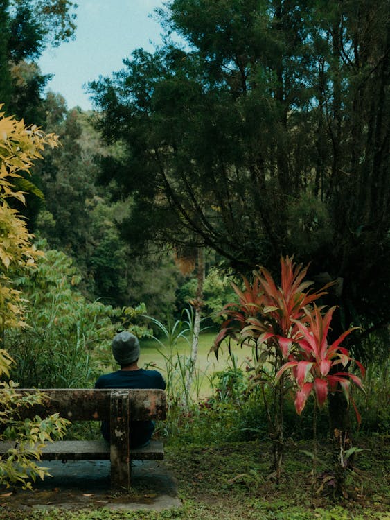 Man Sitting on Concrete Bench