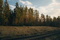 柔和的傍晚灯光下，宁静的森林和铁轨构成了一幅景观