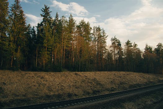 柔和的傍晚灯光下，宁静的森林和铁轨构成了一幅景观