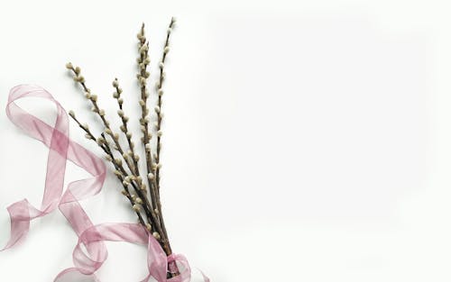 Kostenlos Grüner Blumenstrauß Auf Weißem Hintergrund Stock-Foto