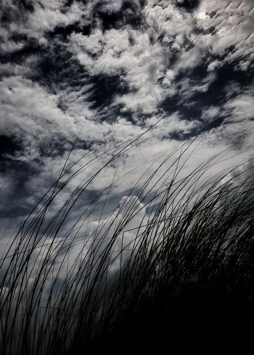 Free stock photo of 2020 wallpaper, 2021 wallpaper, beautiful sky Stock Photo
