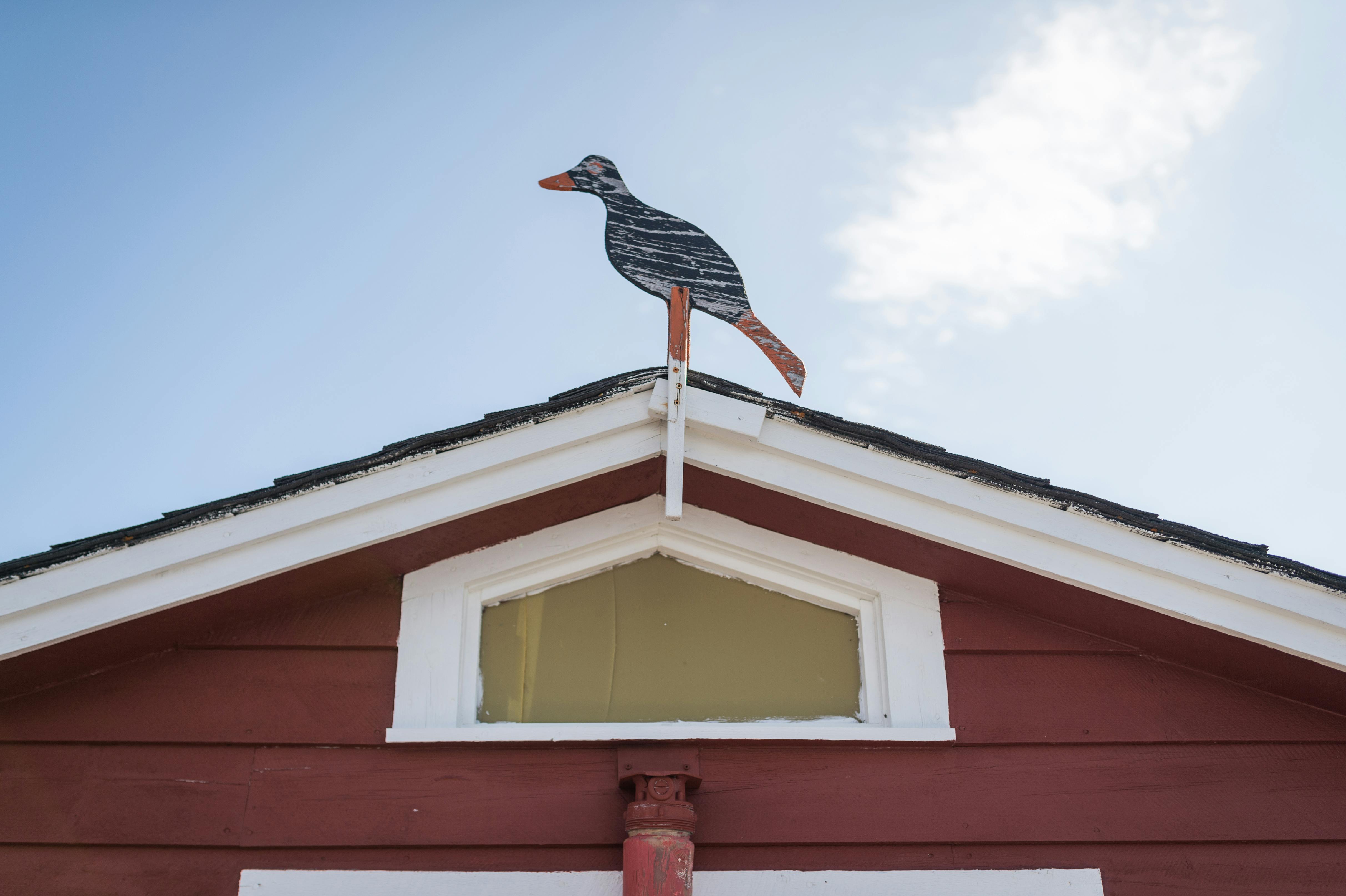 A Brief Guide for Roof Replacement