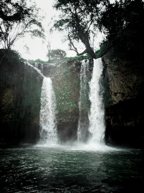 Immagine gratuita di acqua, alberi, cascata