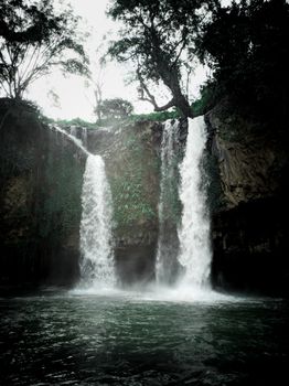 A breathtaking view of cascading twin waterfalls surrounded by vibrant jungle foliage, creating a serene natural scene.