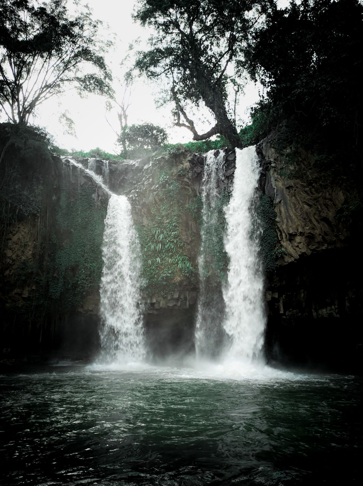 Waterfall and forest near Chikmagalur
