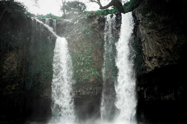 Waterfall in forest landscape representing the type of scenery found around Karuru Falls