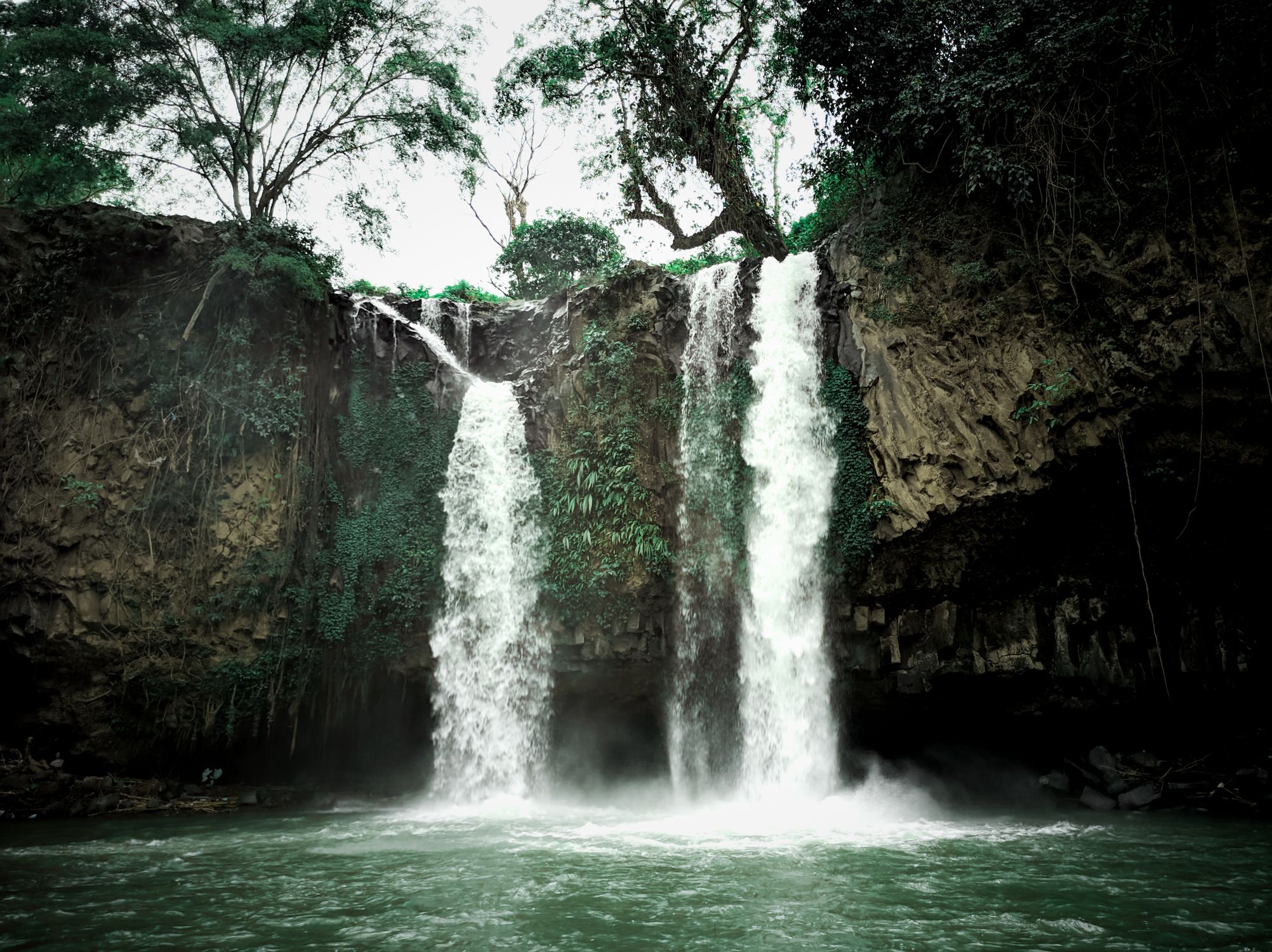 Photo of a Waterfall and Cliff with Trees · Free Stock Photo