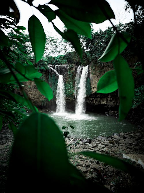 Immagine gratuita di acqua, alberi, cascata