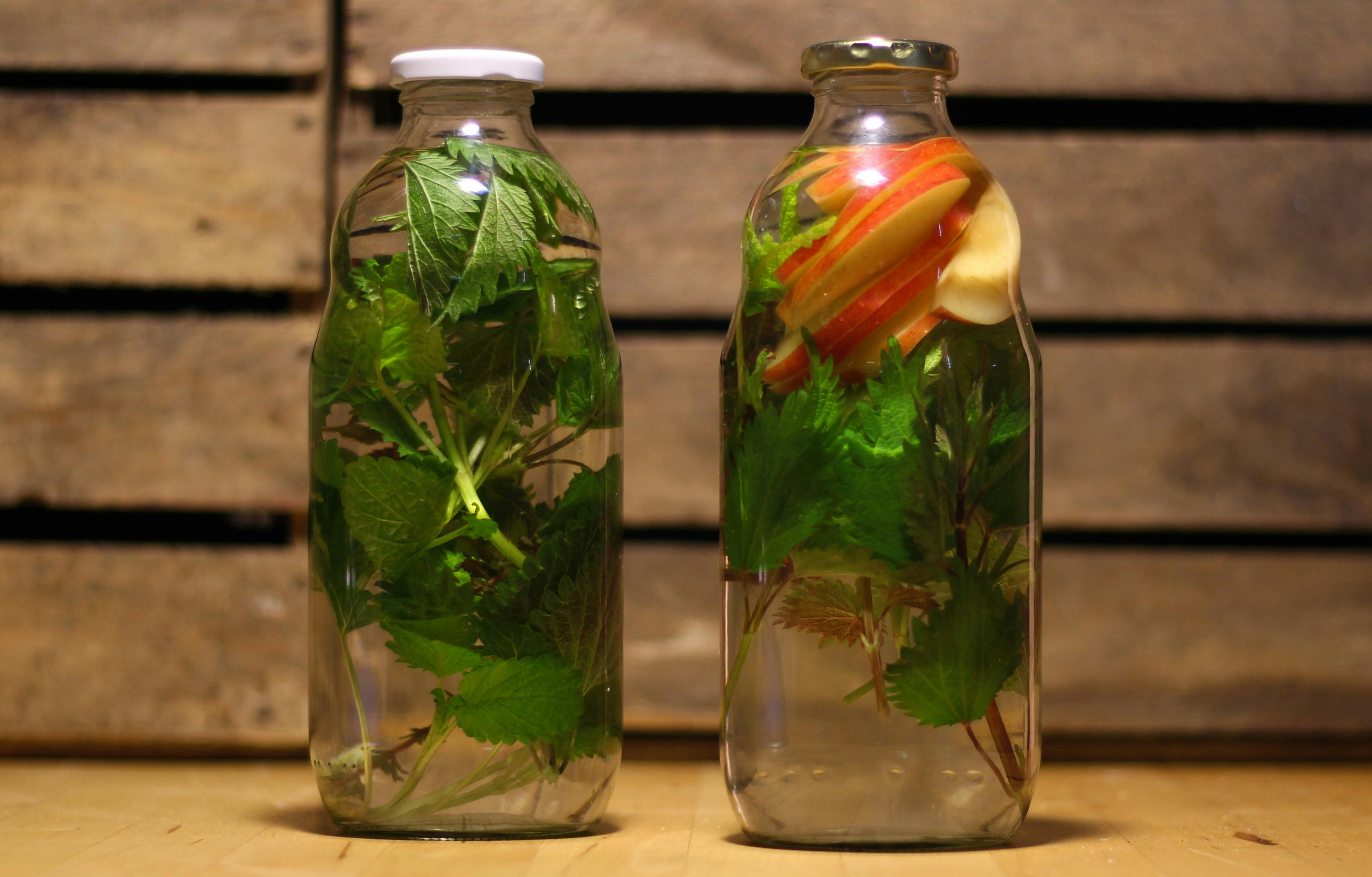 Free stock photo of healthy water, infused water, water and herbs