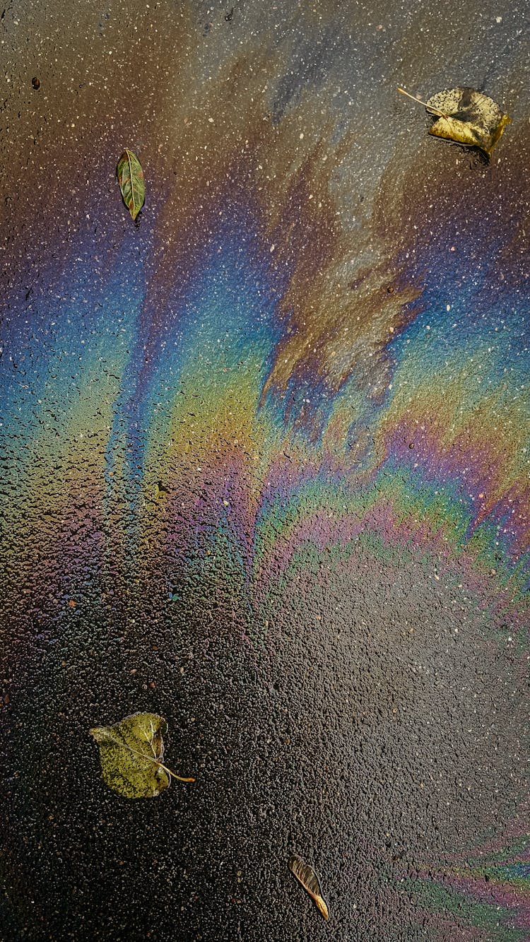 Colorful Paint On Wet Asphalt