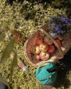Fresh Apples in Brown Woven Basket
