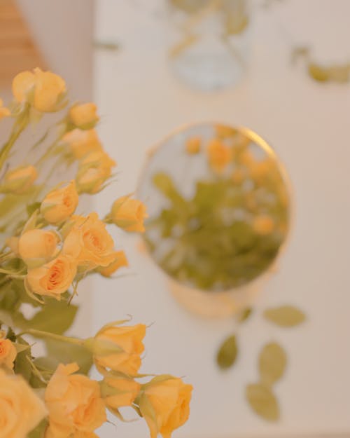คลังภาพถ่ายฟรี ของ กระจกเงา, กลีบดอก, การจัดดอกไม้