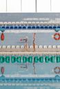 Free stock photo of artistic swimming, bath, bathroom