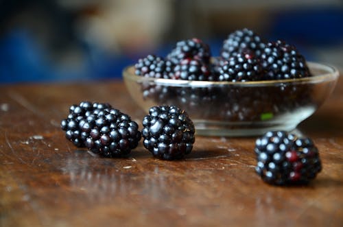 Free stock photo of blackberries, blackberry, bowl of fruit