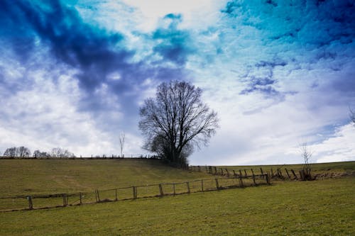 Free stock photo of arable, blue, clouds