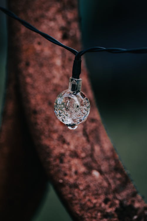 Lightbulb Hanging on Wire