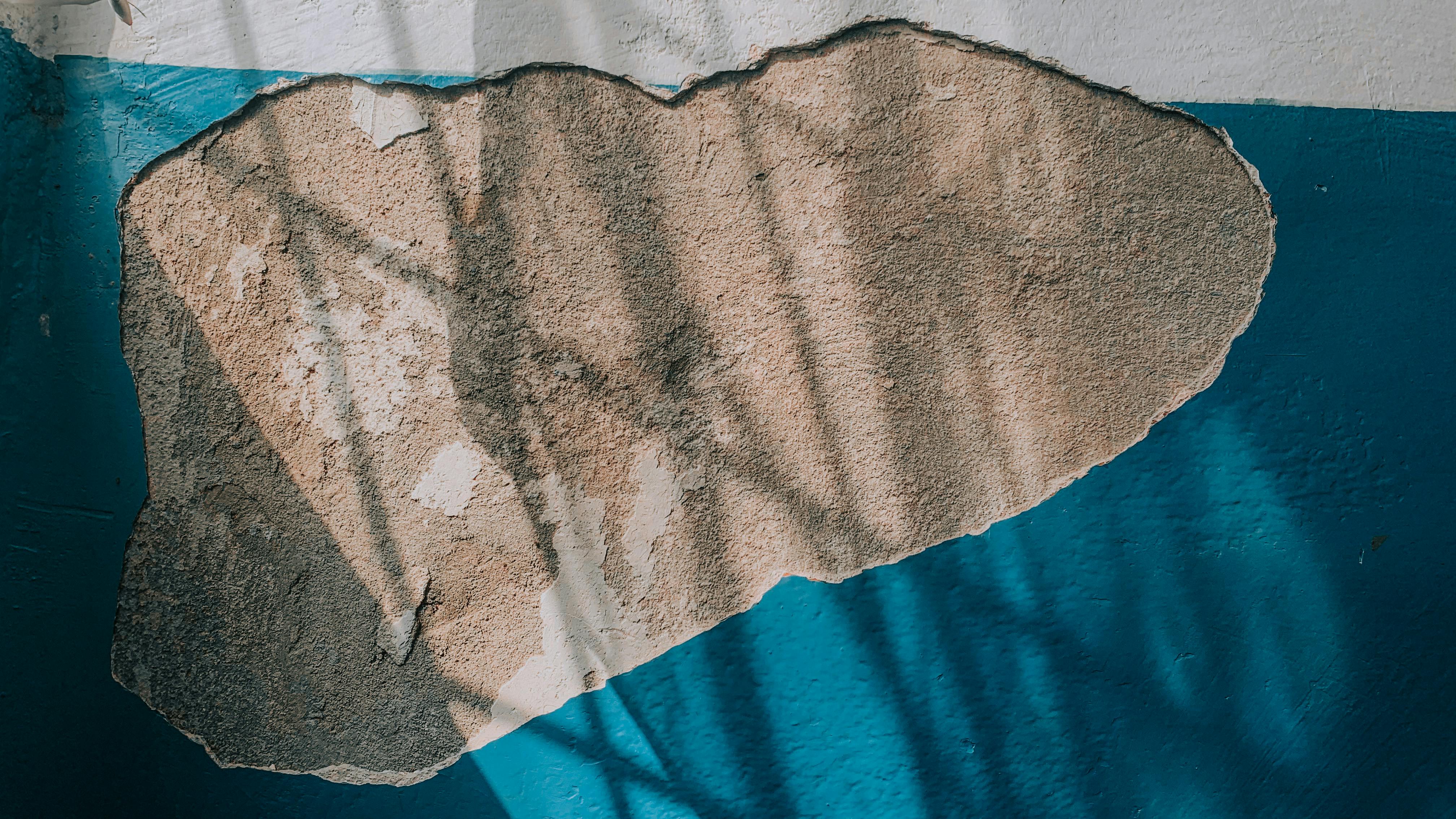 Are there any samurai left?