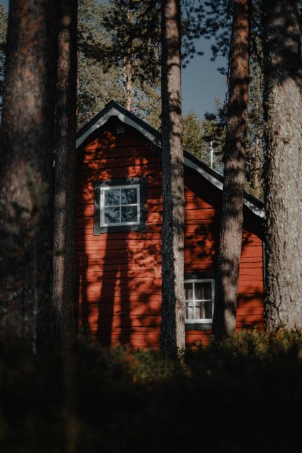 Charming red cabin nestled in a tranquil forest with sunlight filtered through trees.