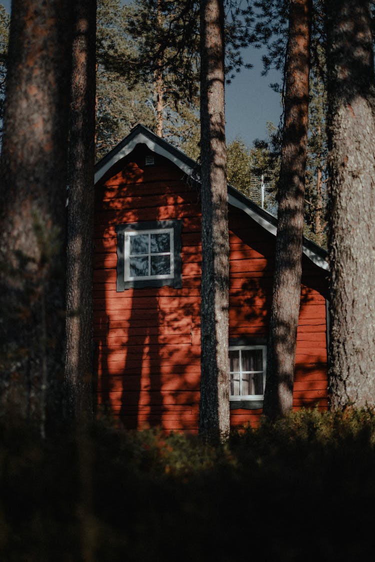 Beautiful Brown Brick House Near Trees