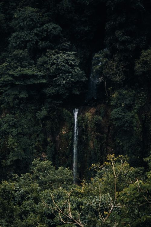 Free A tranquil waterfall cascades down a steep cliff surrounded by dense green forest. Stock Photo
