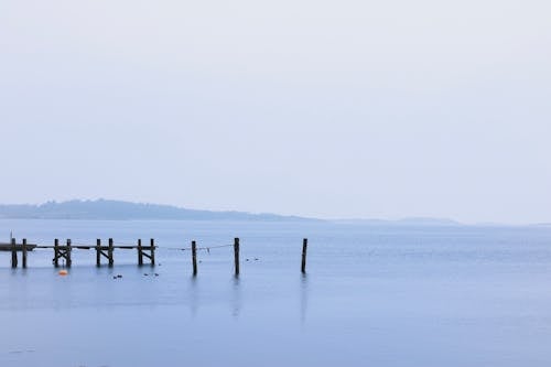 Gratis lagerfoto af frossen sø, natur, naturfotografering