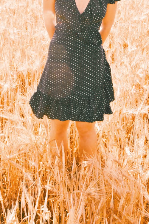 垂直拍攝, 女人, 小麥 的 免費圖庫相片