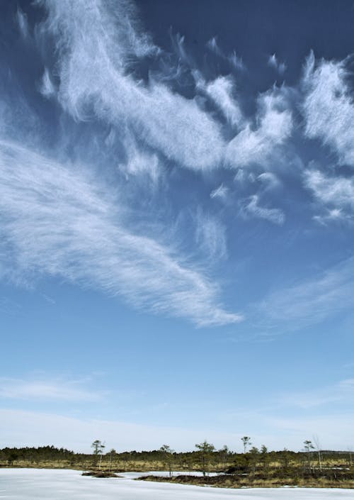 空の風光明媚な景色