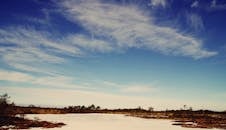 冬日景象宁静，有雪、树木和鲜艳的蓝天