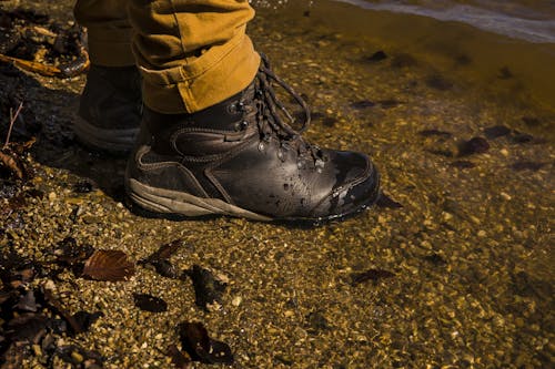 Free stock photo of asterisk, at the pond, bank