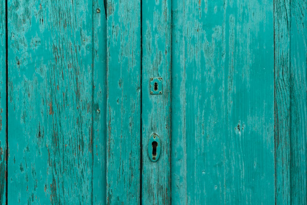 home door paint