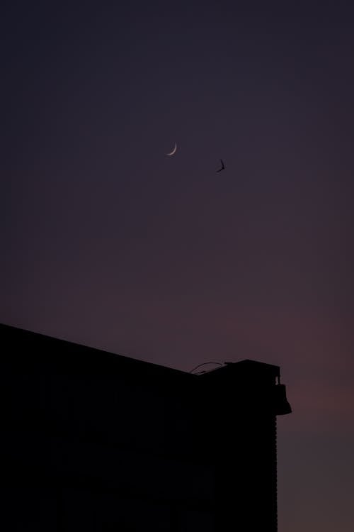 Moon on Night Sky