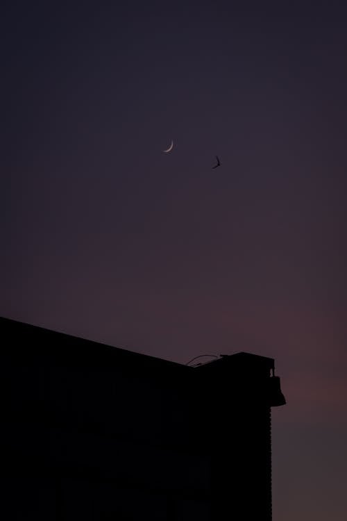 Základová fotografie zdarma na téma budova, čisté nebe, měsíc