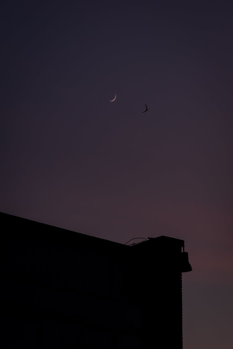 Moon On Night Sky