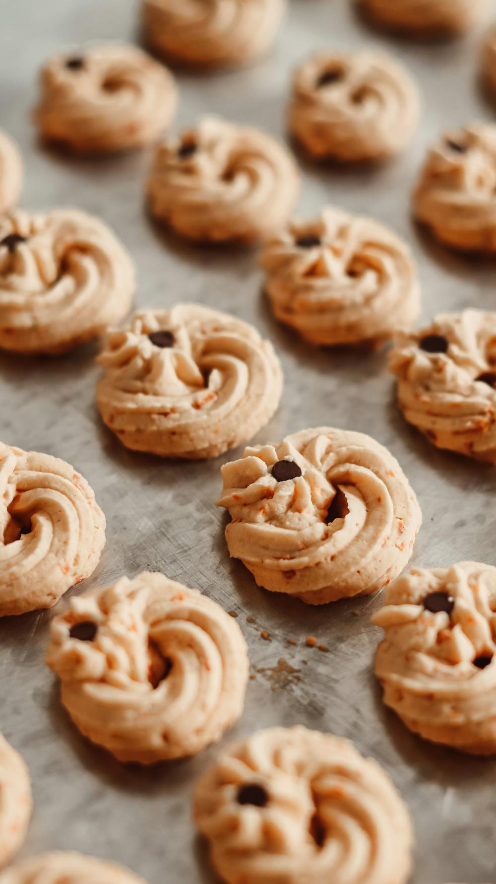 Chocolate Chip Peppermint Swirl Cookies