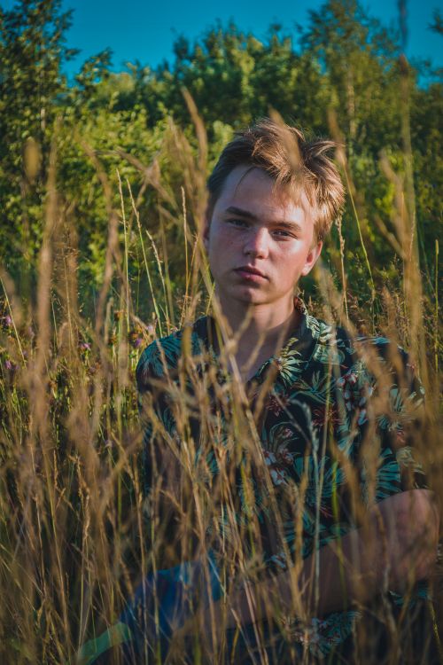 Free Portrait of a young man with blond hair sitting in a grassy field on a sunny day. Stock Photo