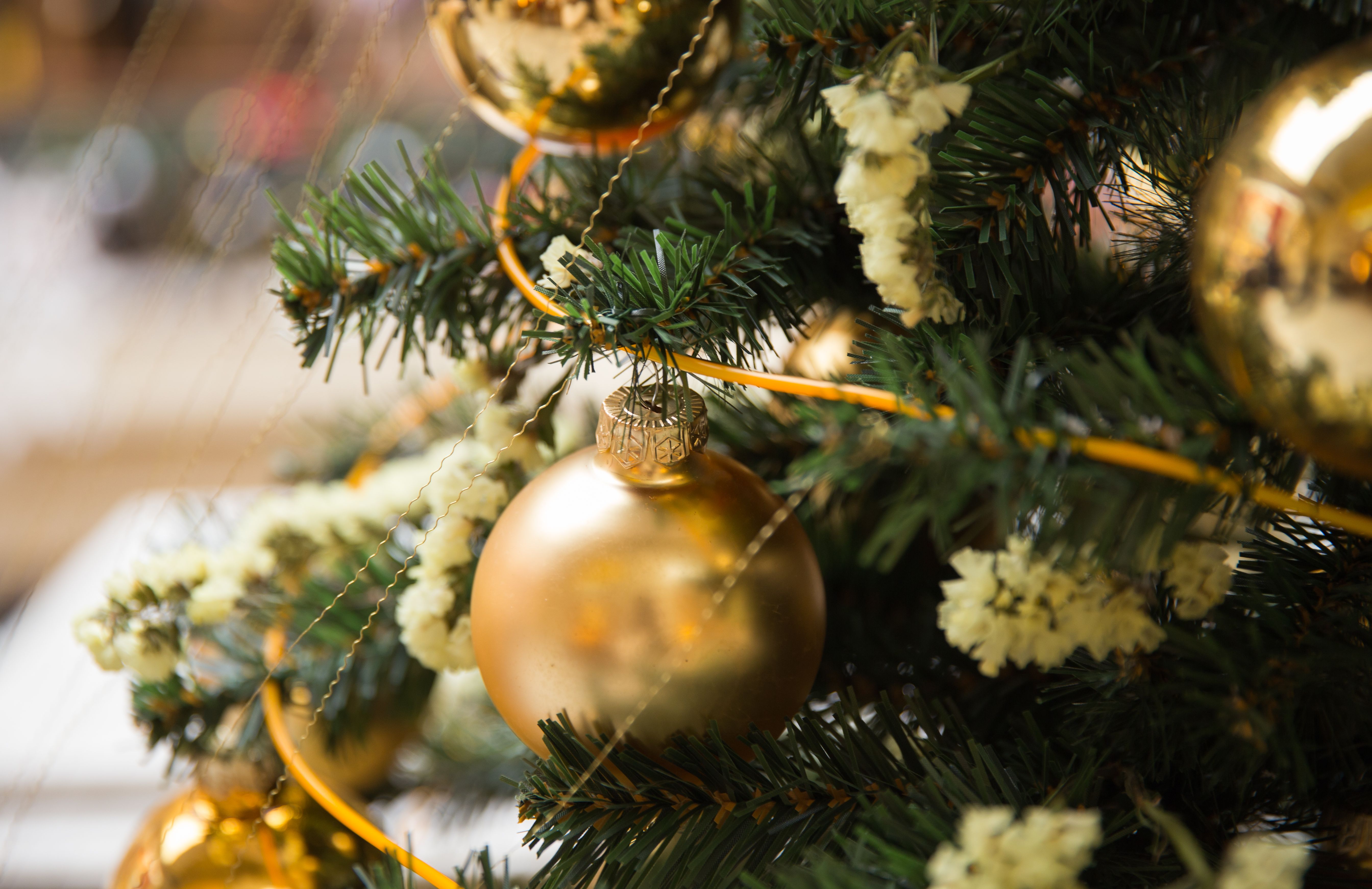 Software developer reviewing code on a desktop monitor
