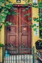 Brown Wooden Door With Green Plant