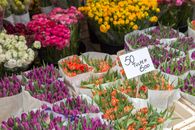 Orange and Purple Tulip Flower Bouquets