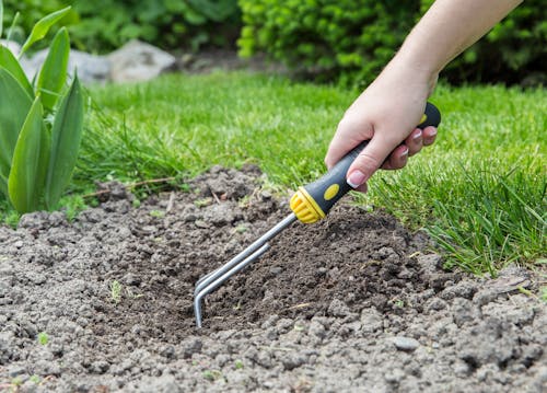 A Person Using a Garden Rake in Tilling the Soil