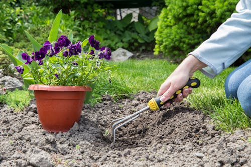 A Person Digging on the Garden Soil with a Rake