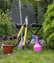 Free stock photo of backyard, equipment, family
