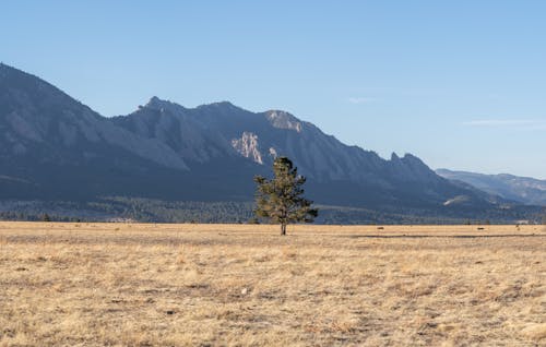 山, 景觀, 棕色的草 的 免费素材图片