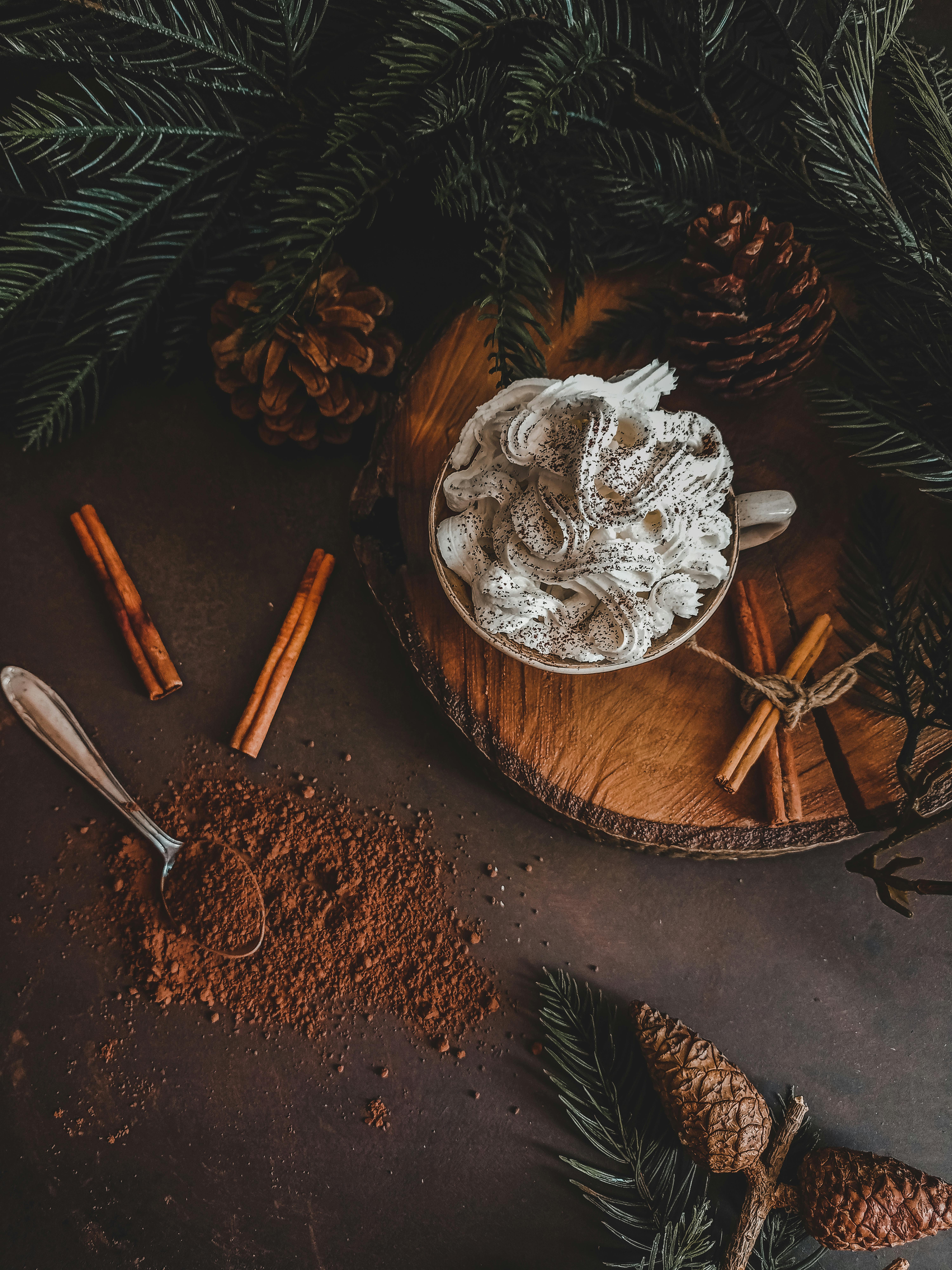 Cup of coffee with whipped cream surrounded by cinnamon sticks and pinecones, perfect for winter mood.