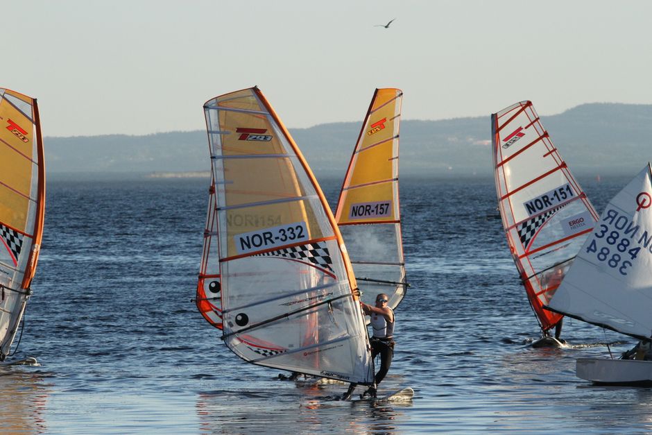Exciting windsurfing on the Oslo Fjord with multiple sails in action at sunset. Perfect for adventure seekers.