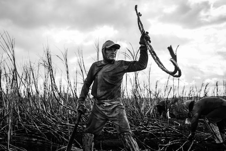 Grayscale Photo Of A Farmer Working