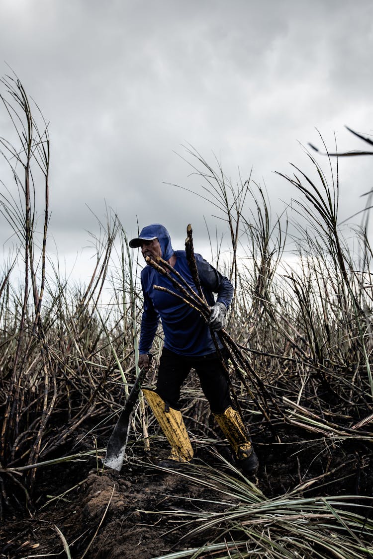 Photo Of A Farmer Working