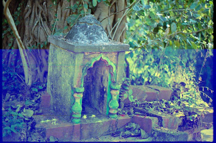 Small Stone Temple By A Tree