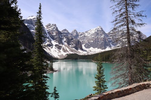 Gratis stockfoto met adembenemend, banff national park, bomen