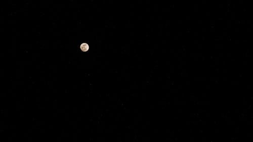 Безкоштовне стокове фото на тему «вечір, місяць, місячний»