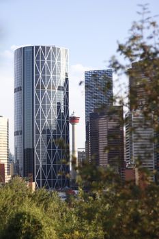 A stunning view of Calgary's downtown skyline featuring the iconic Calgary Tower surrounded by modern architecture.